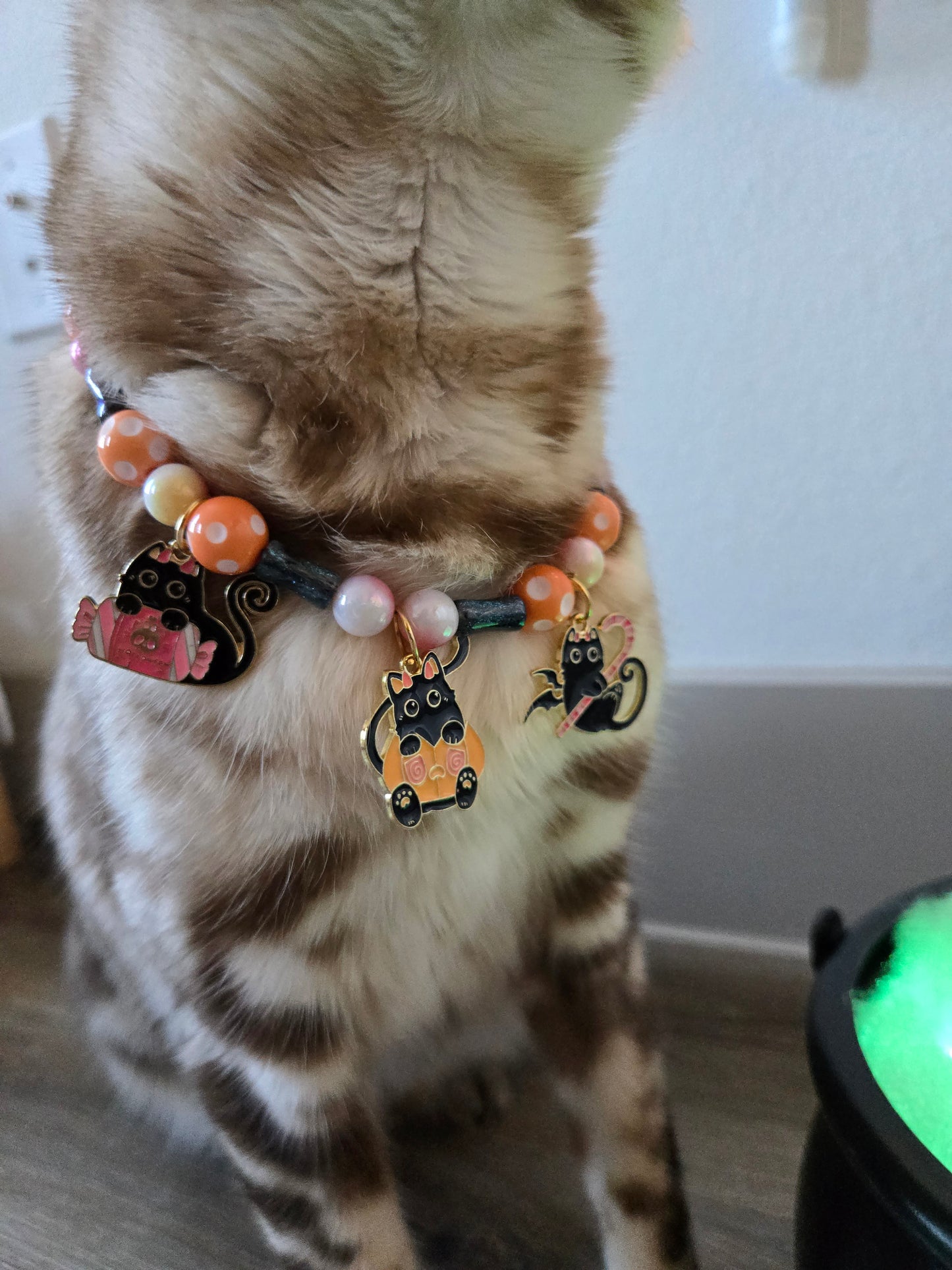 La Chat Sucrée (“The Sweet Cat”) Pet Necklace
