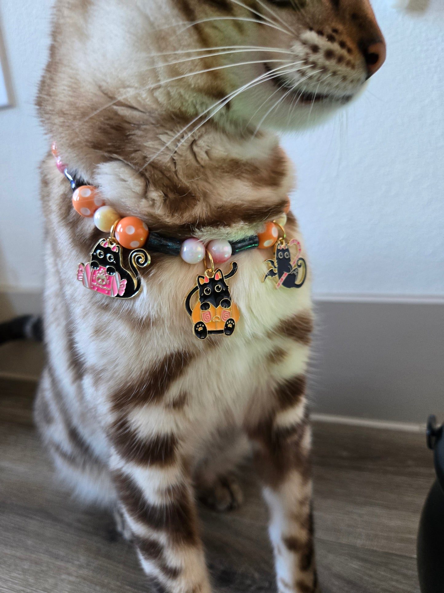 La Chat Sucrée (“The Sweet Cat”) Pet Necklace