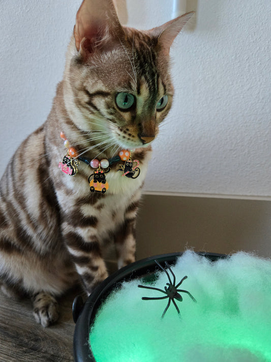 La Chat Sucrée (“The Sweet Cat”) Pet Necklace