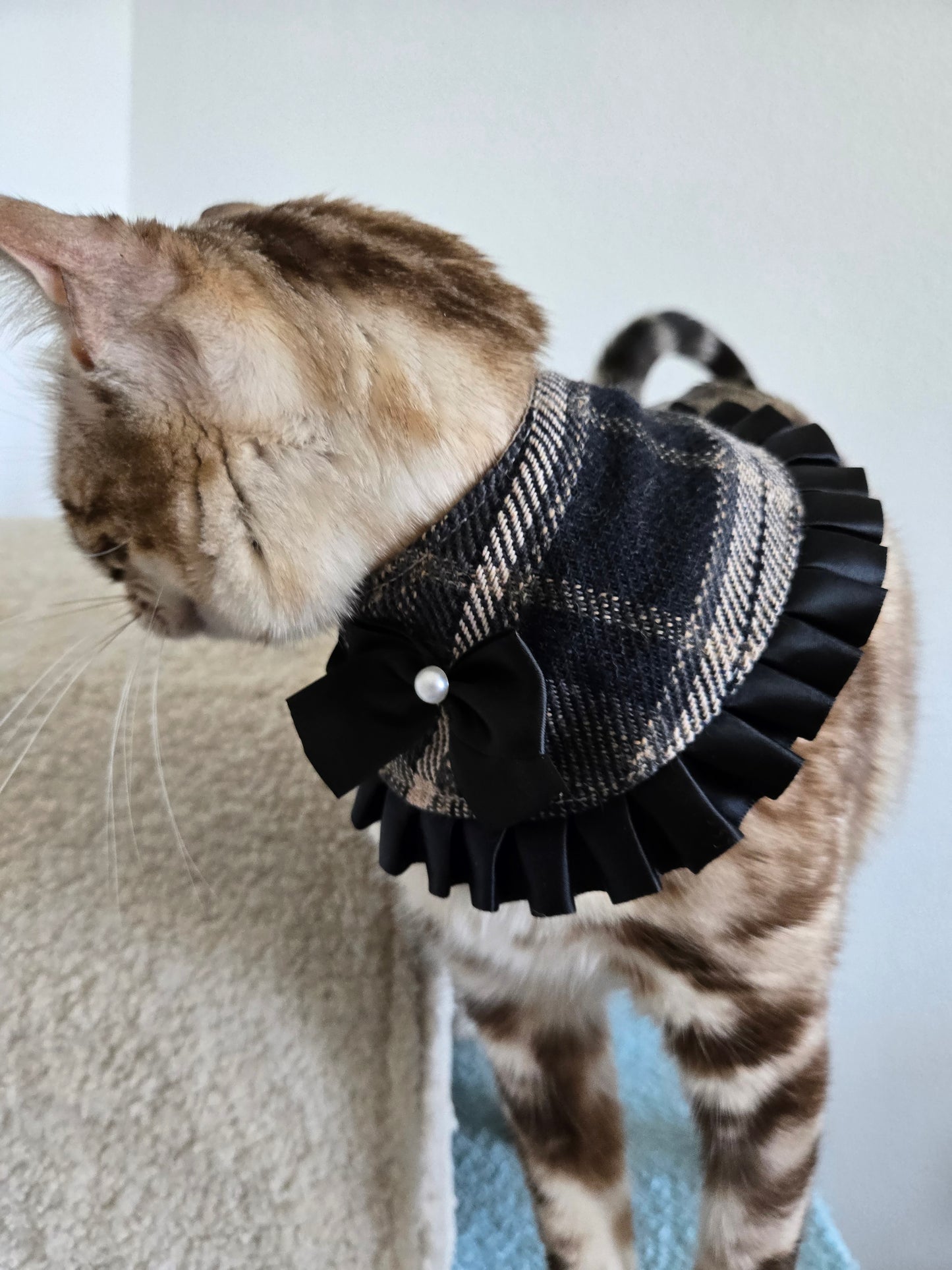 La Petite Sorcière Pet Bandana
