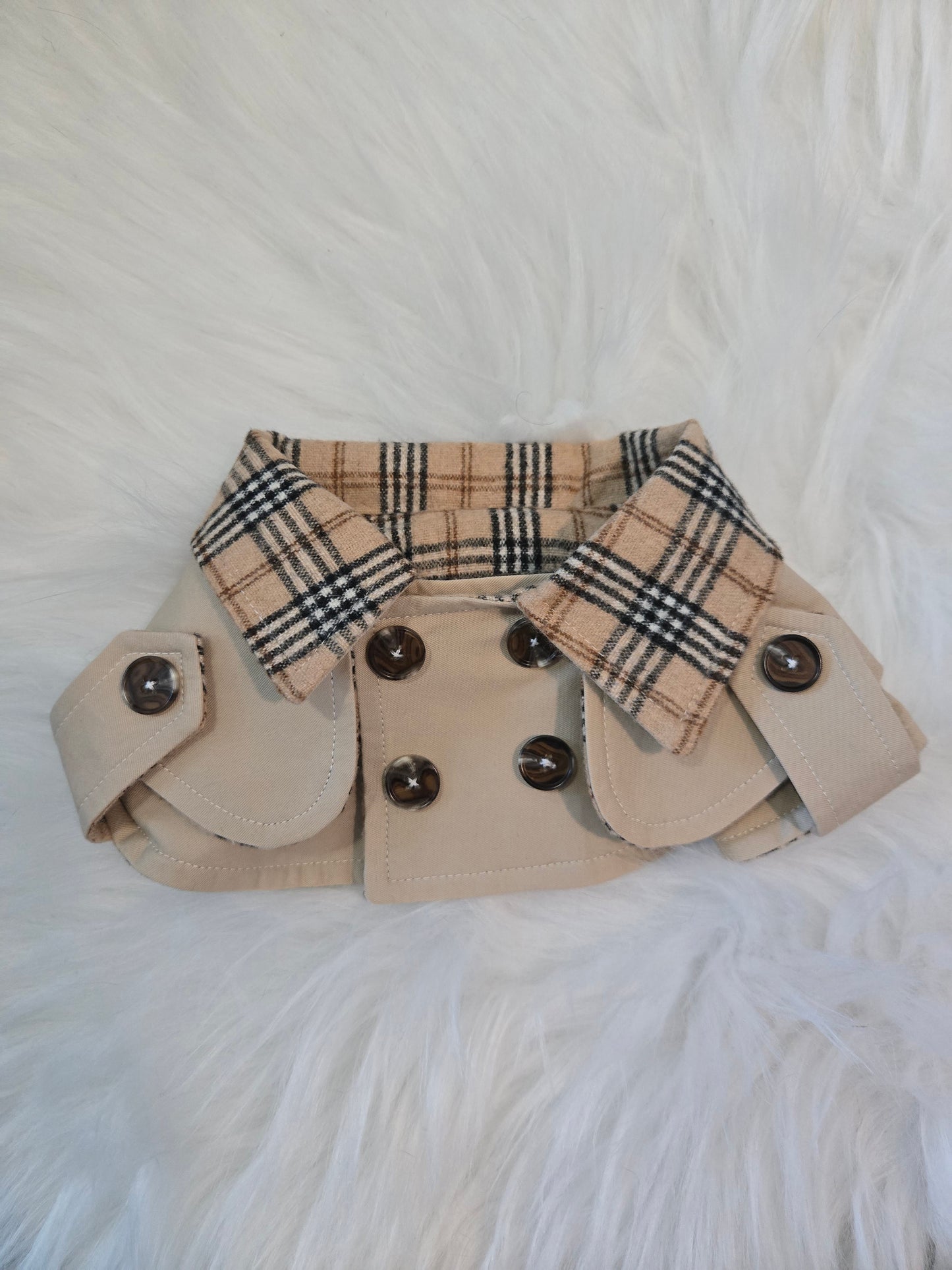 Purrberry Trench Coat