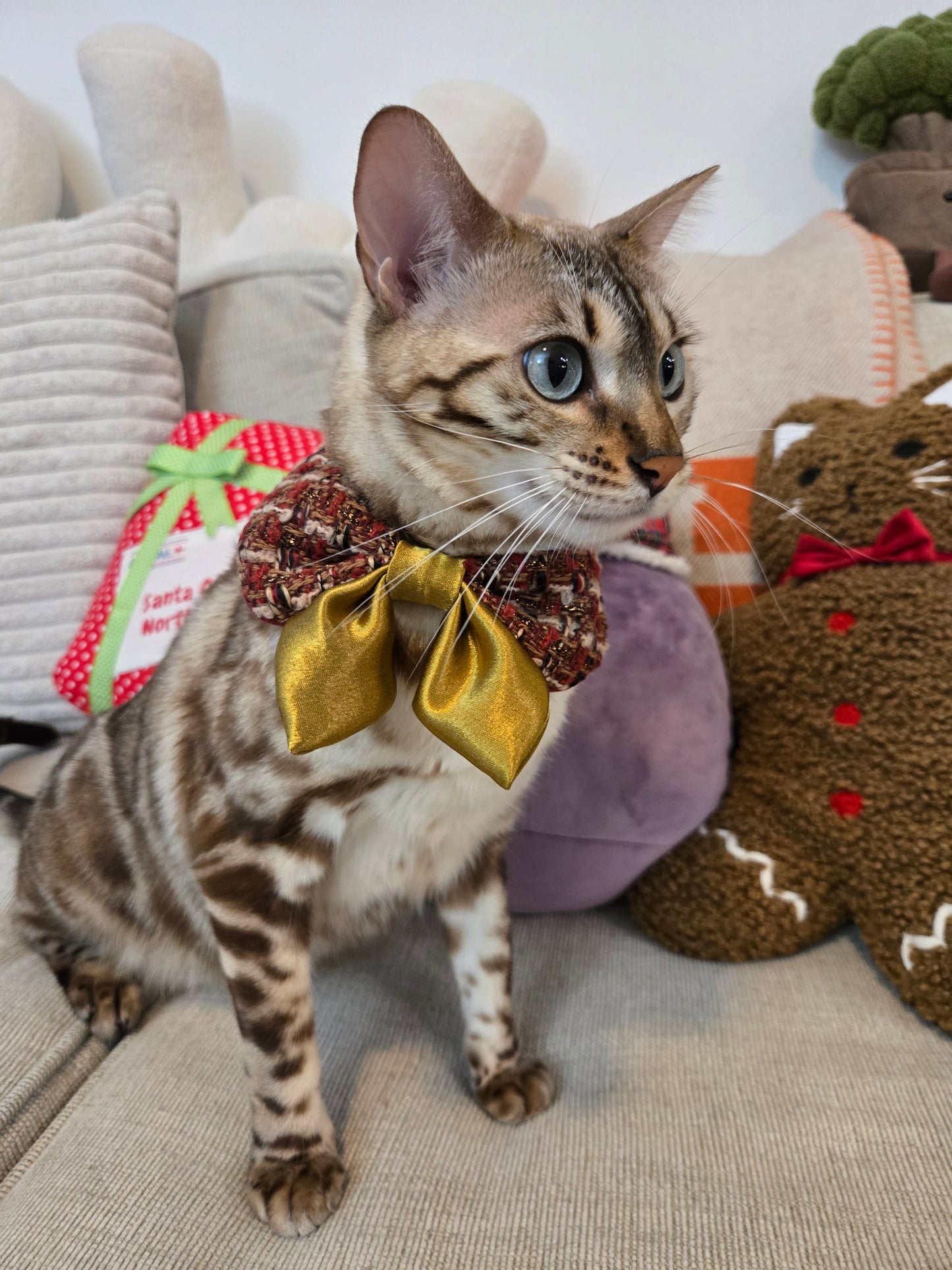 Après Glam Gala Bow Pet Bandana