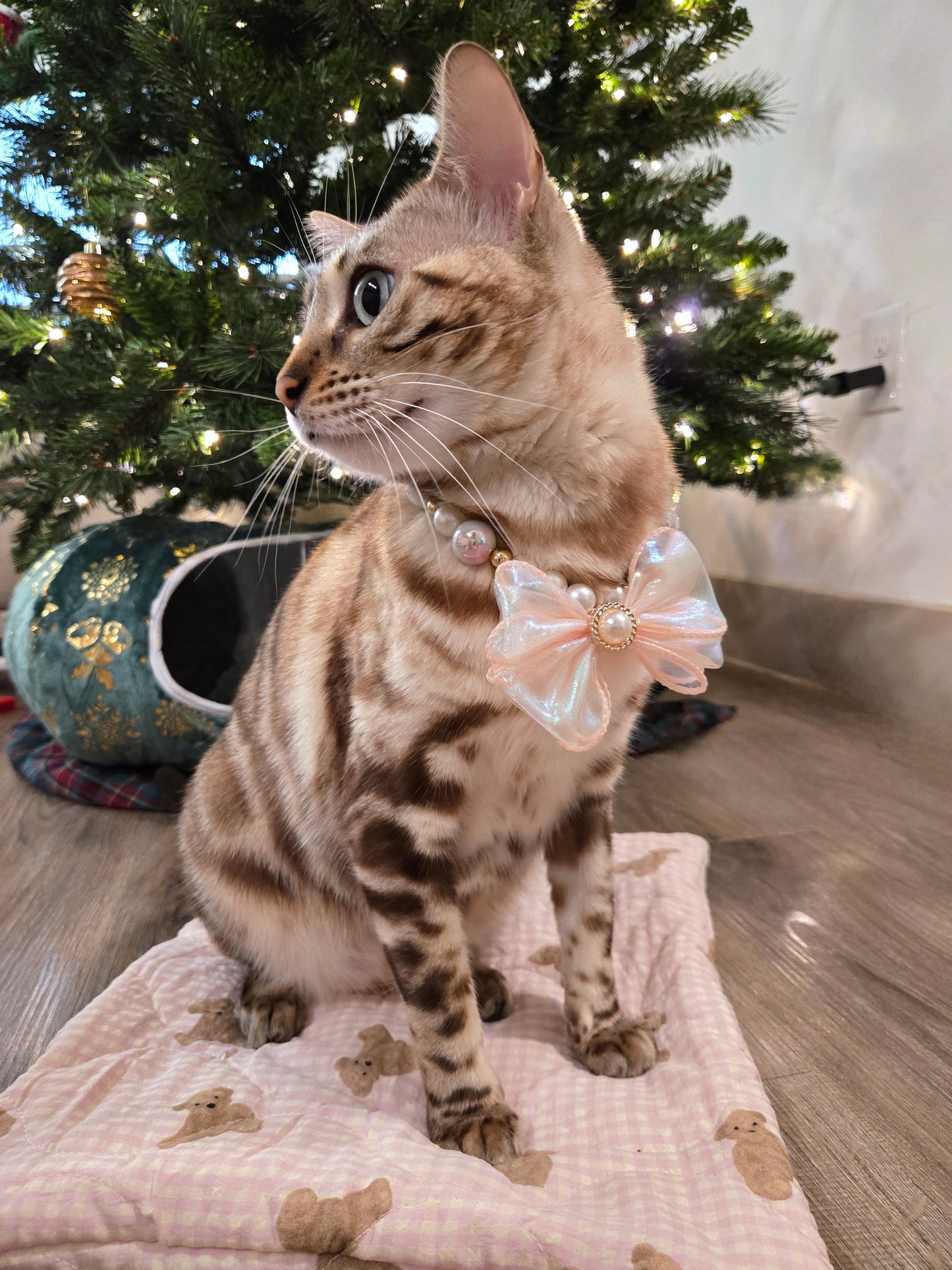 Rosé Pearl Pet Necklace