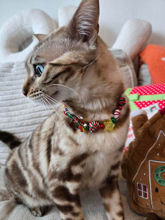 Christmas Market Pet Necklace