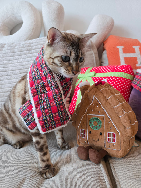 Après Ski Pet Scarf