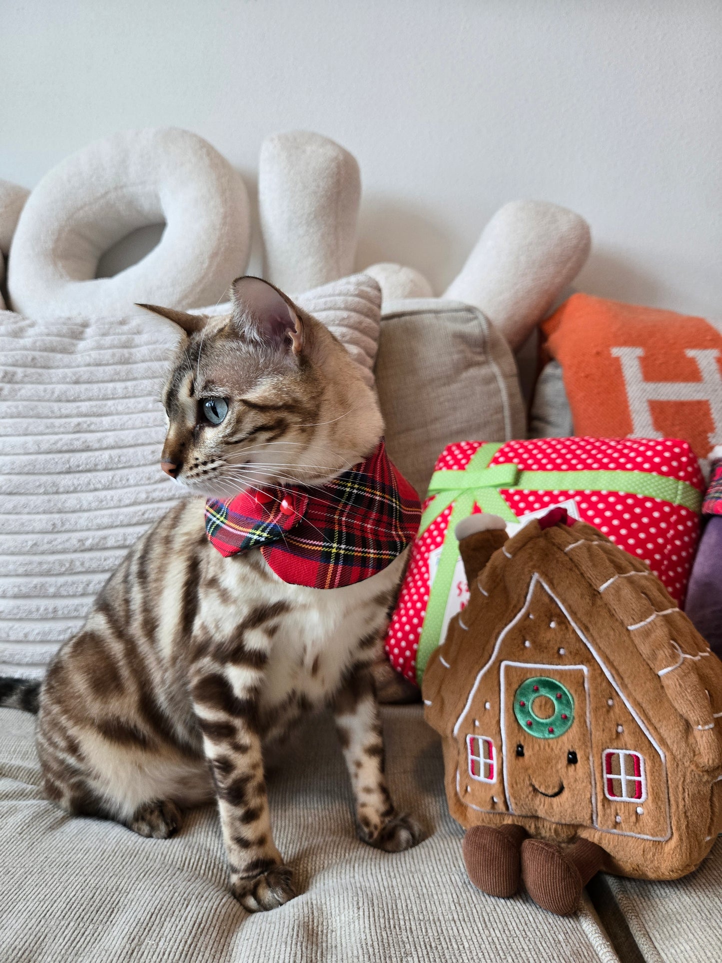 Holiday Tartan 4-way Pet Bandana