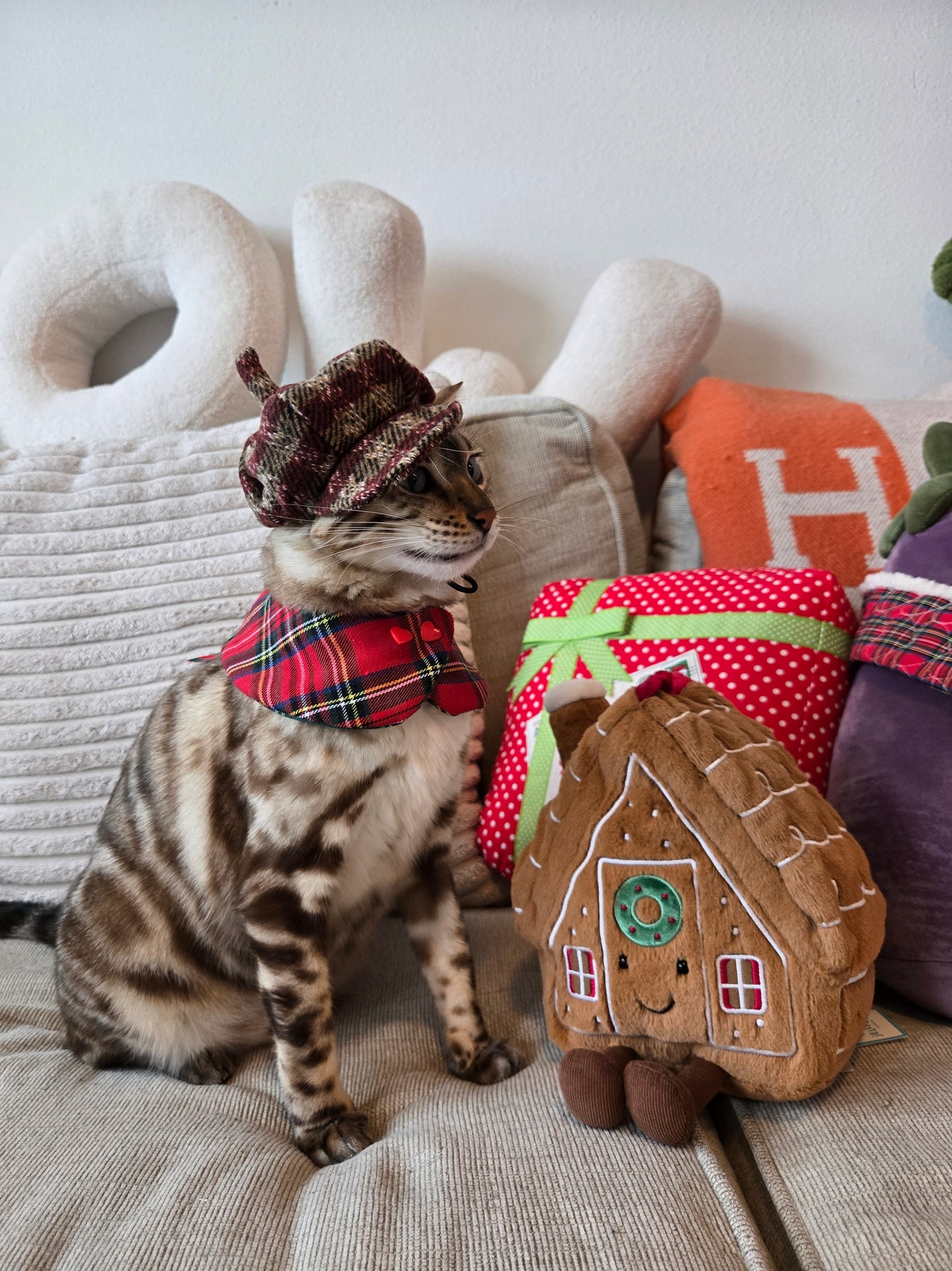 Vintage Noël Beret Pet