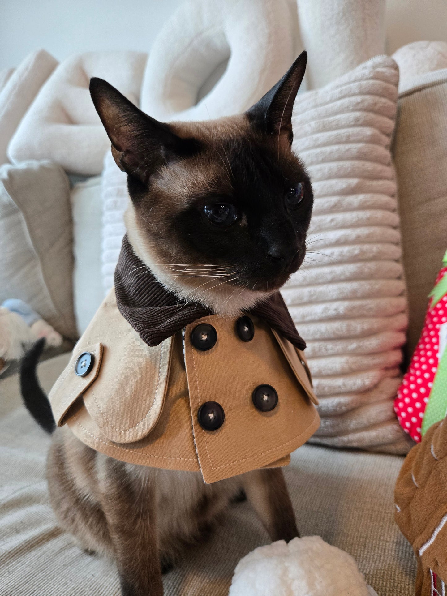 New Year’s Eve Paris Pet Trench Coat