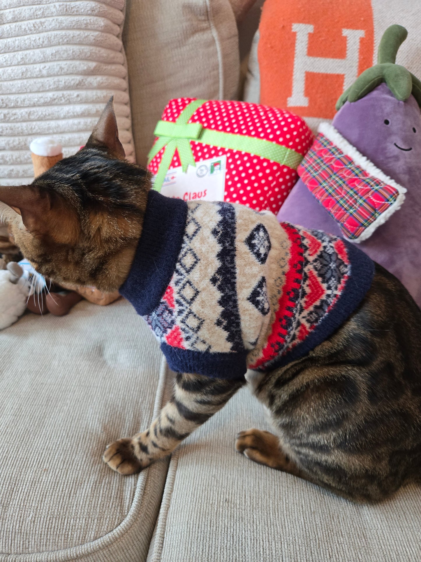 Mont Blanc Alpine Pet Sweater