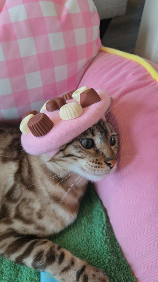 A box of chocolate Pet Beret