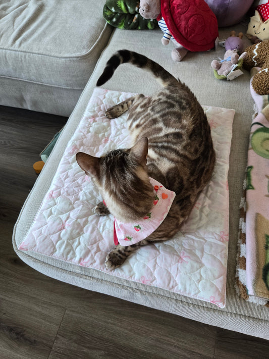Sweet Dreams Quilted Pet Lounge Mat