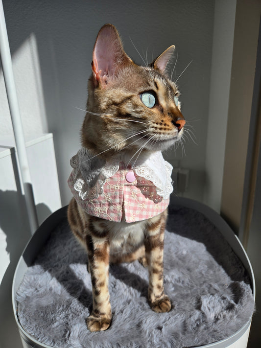 Hyacinth Pet Bandana