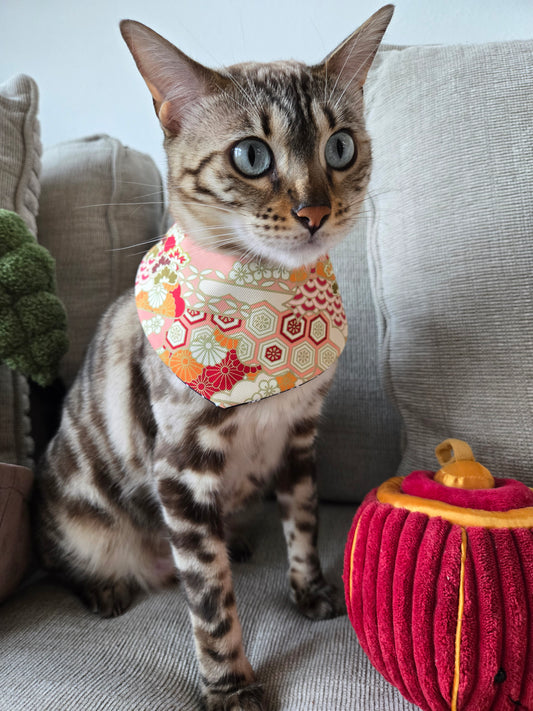 Prosperity Waves Pet Bandana (4-way wear)