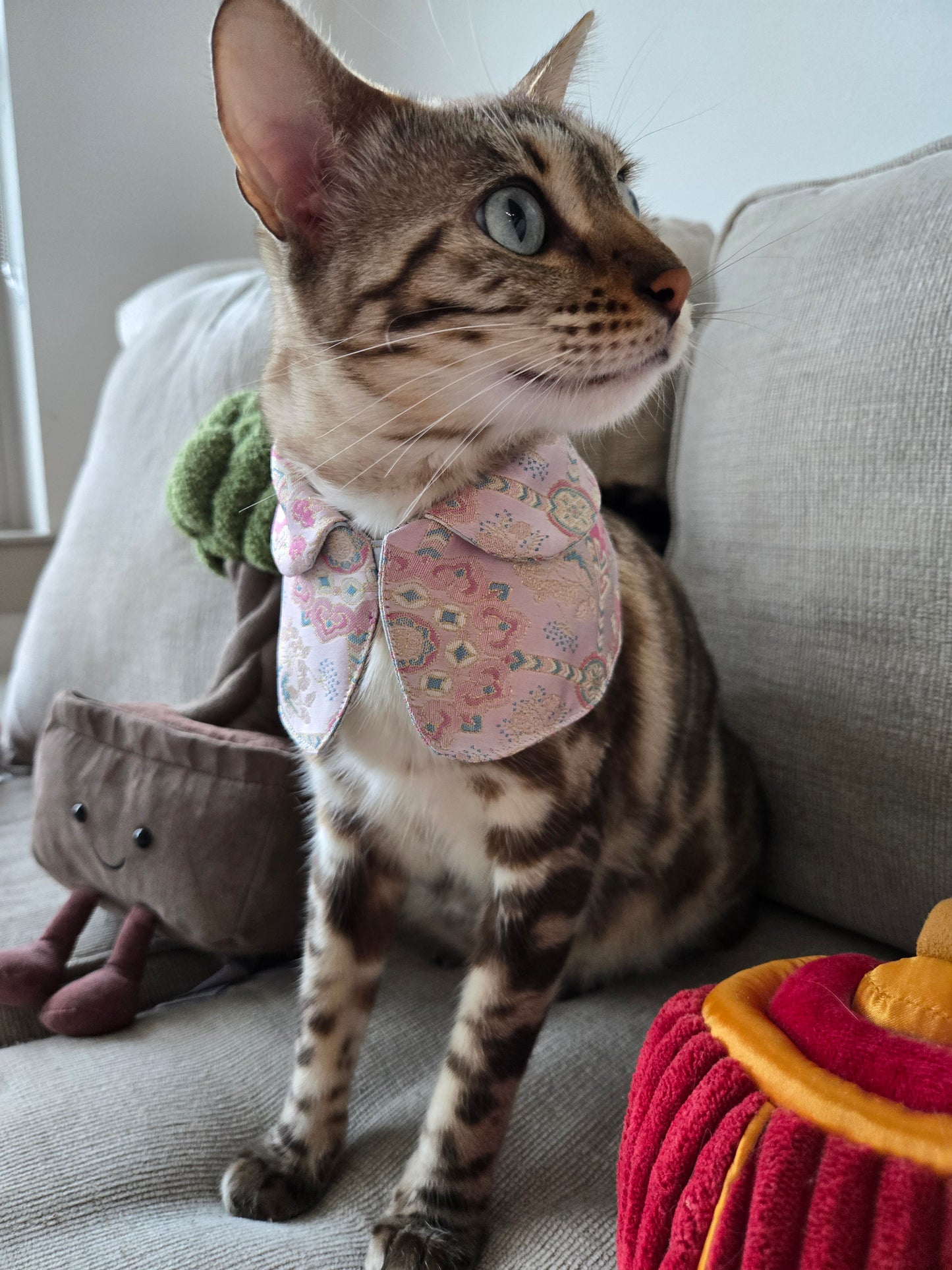 Dynasty Pavilion Silk Pet Bandana (reversible)