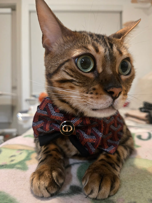 Grrryard Black tie Pet Bandana