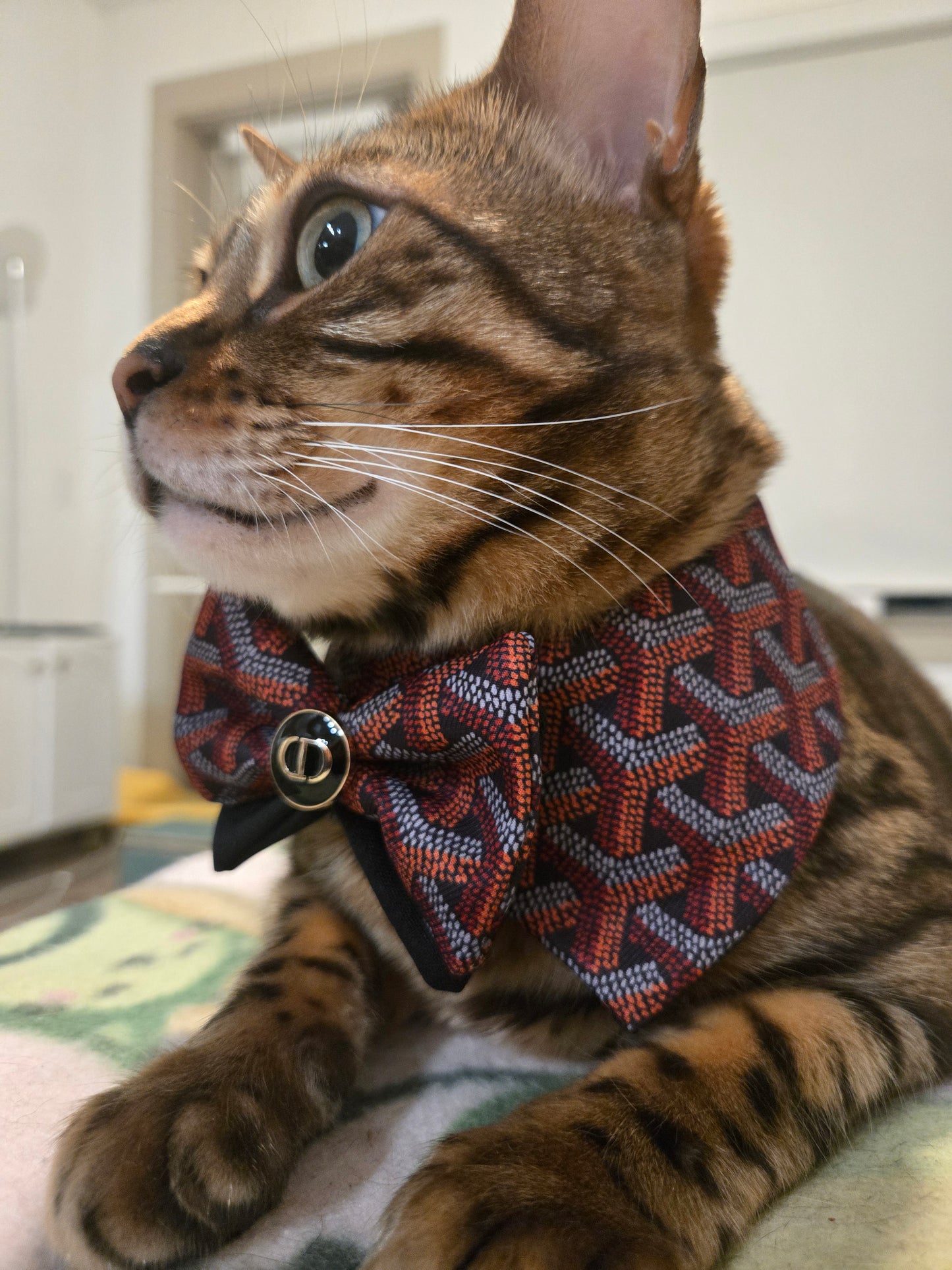 Grrryard Black tie Pet Bandana