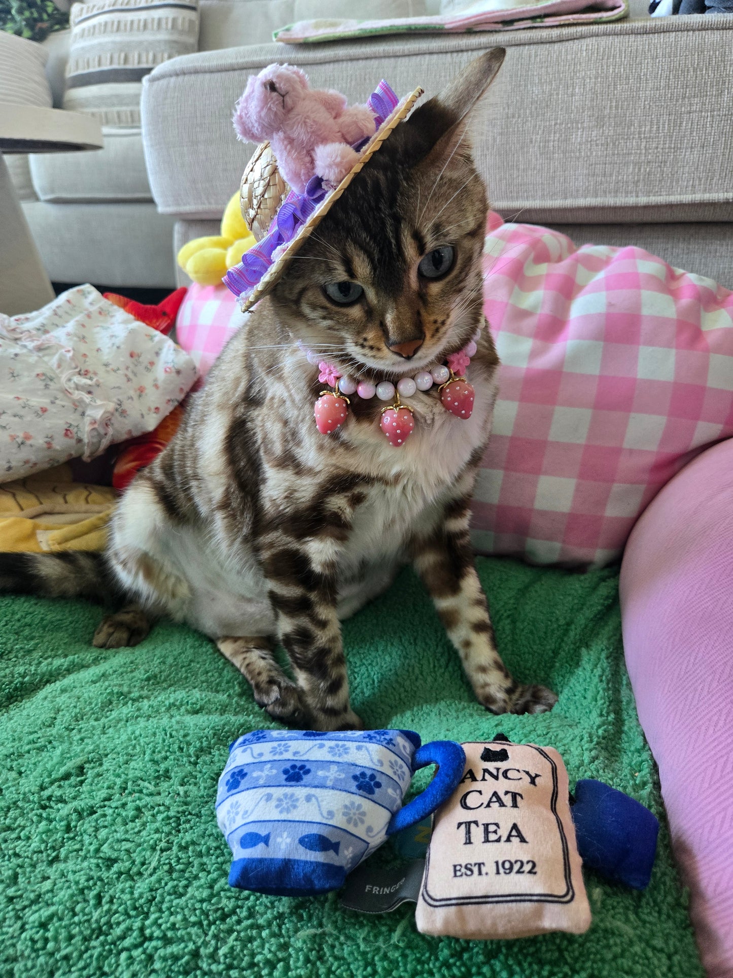 Strawbeary Picnic Pet Hat