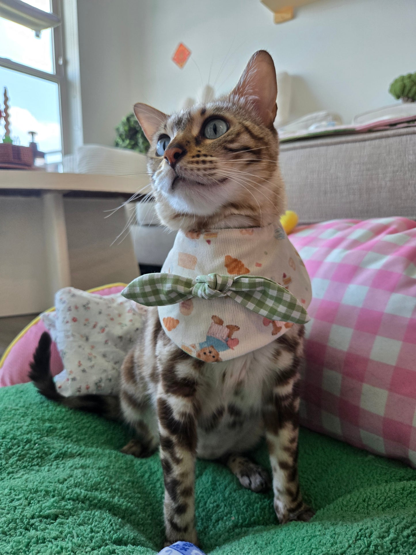Teddy's picnic Pet Bandana (reversible 4-way wear)