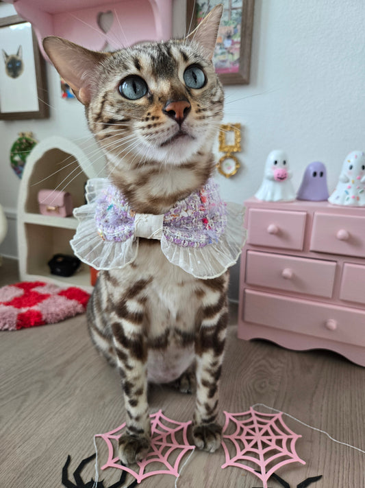 La Meringue de Minuit Pet Bandana
