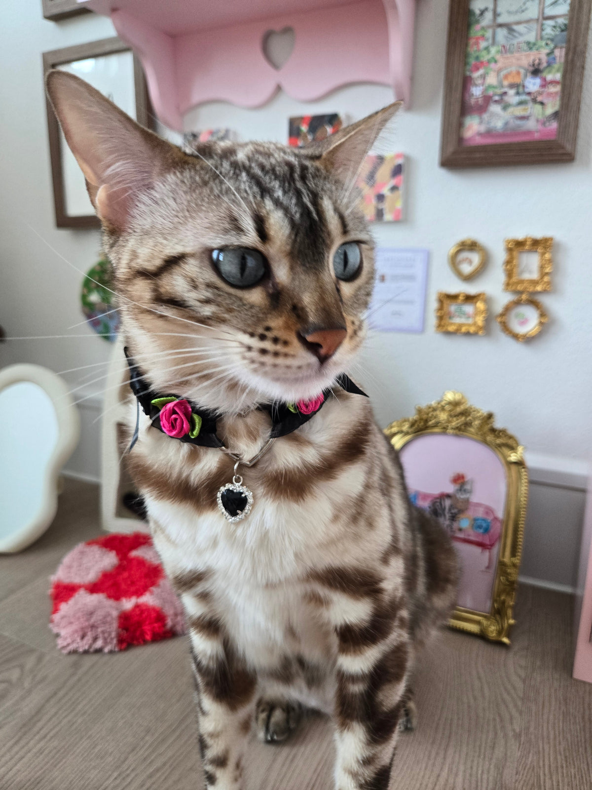 Le Midnight Heart Pet Necklace