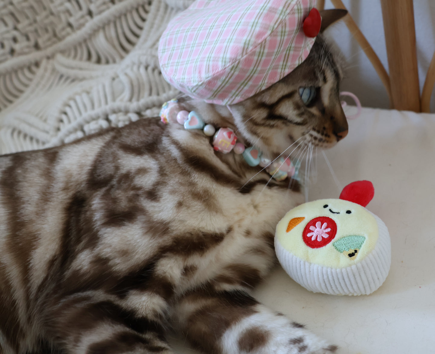 Catnip Swiss Roll