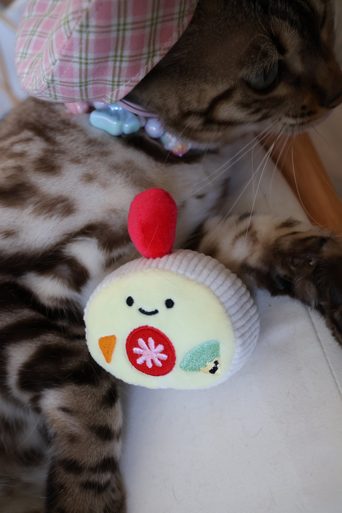 Catnip Swiss Roll