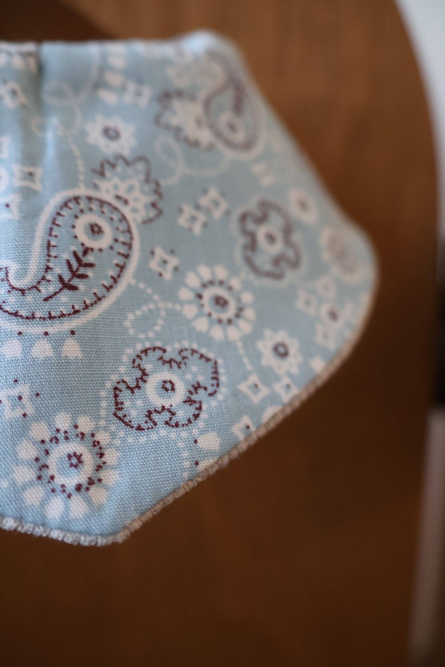 Purisian Beau Pet Bandana (reversible)