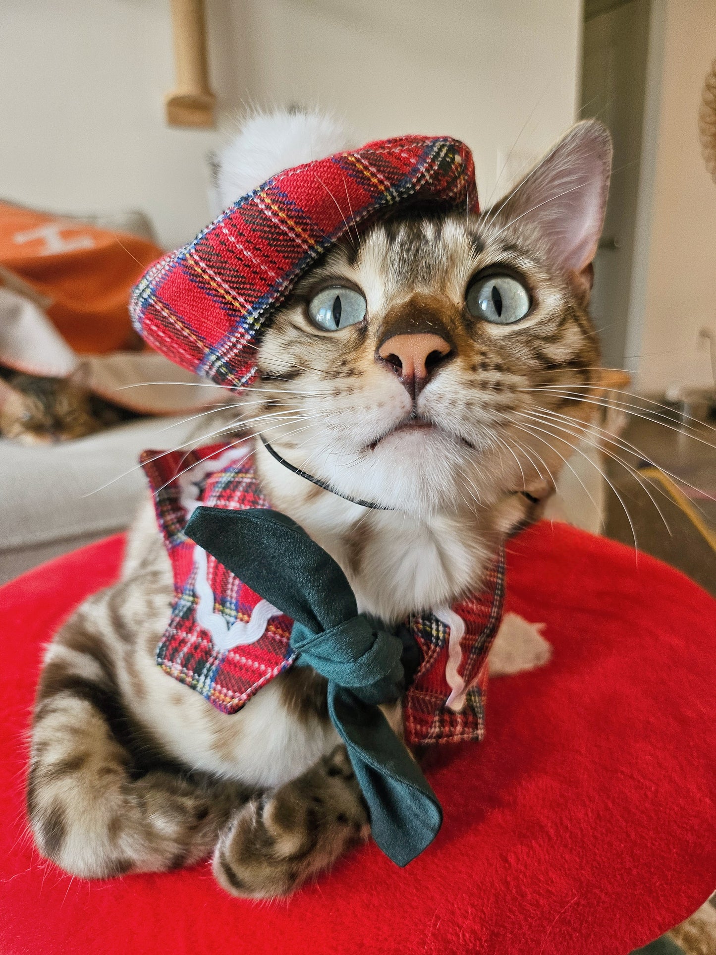 Holly Jolly Beret and Cape