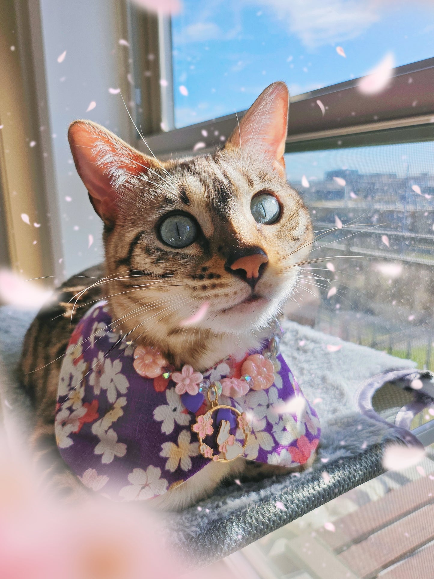 Sakura Pet Bandana (reversible)