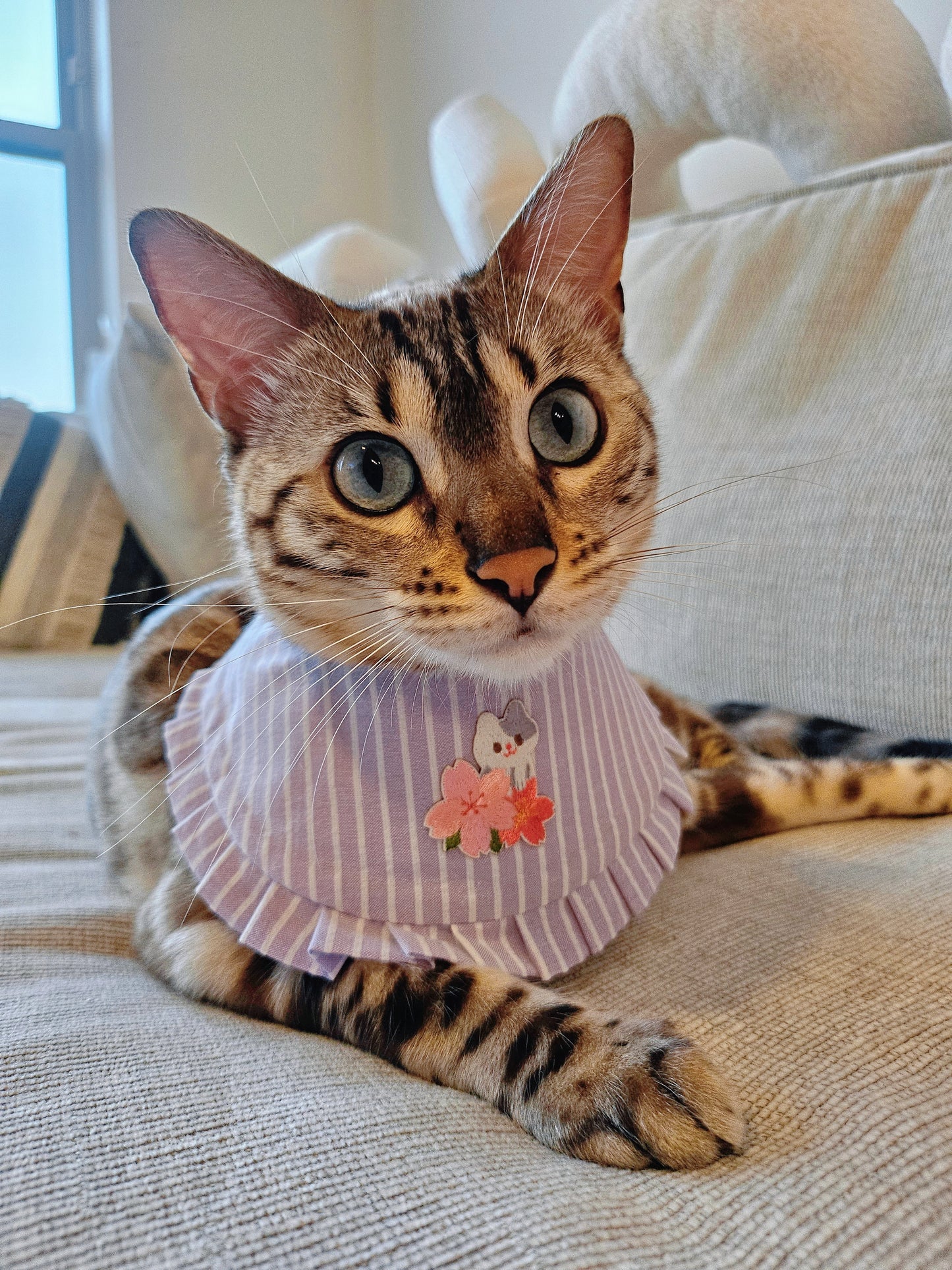 Lilac blossom Pet Bandana (reversible)