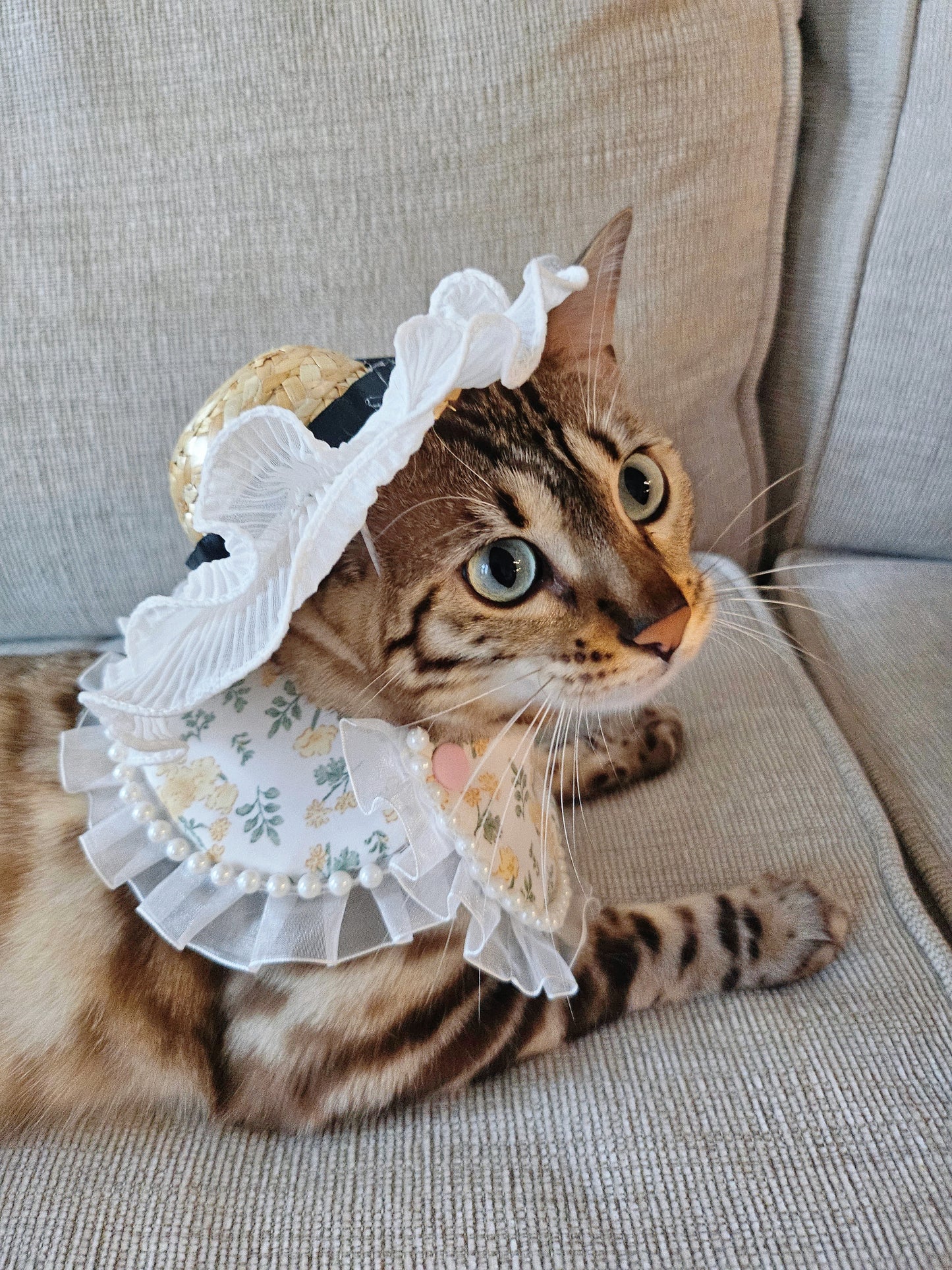 Springtime Pet Straw Hat