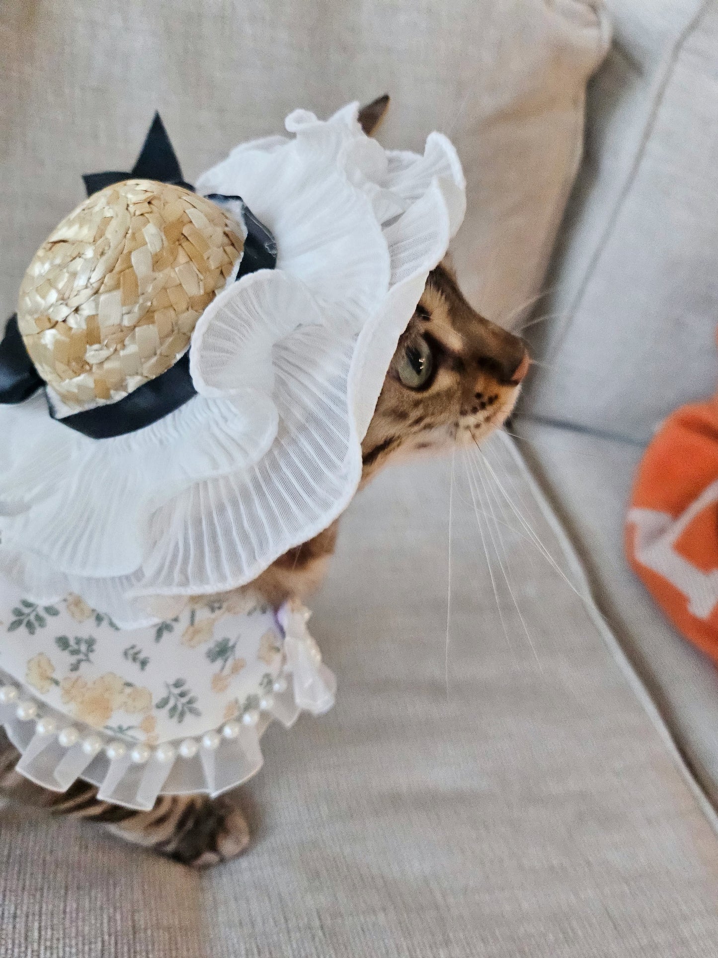 Springtime Pet Straw Hat