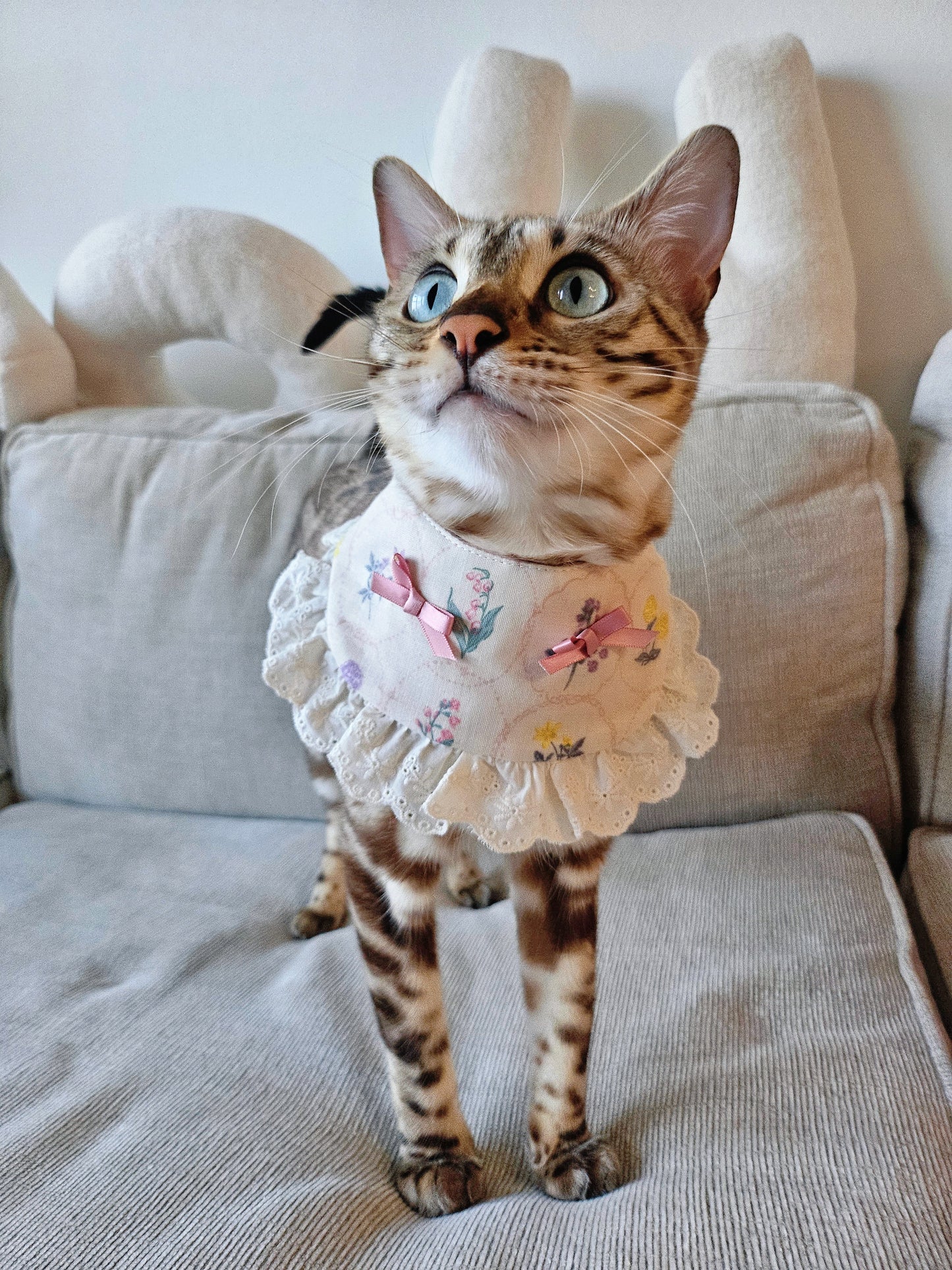 Blooming Fleur Pet Bandana