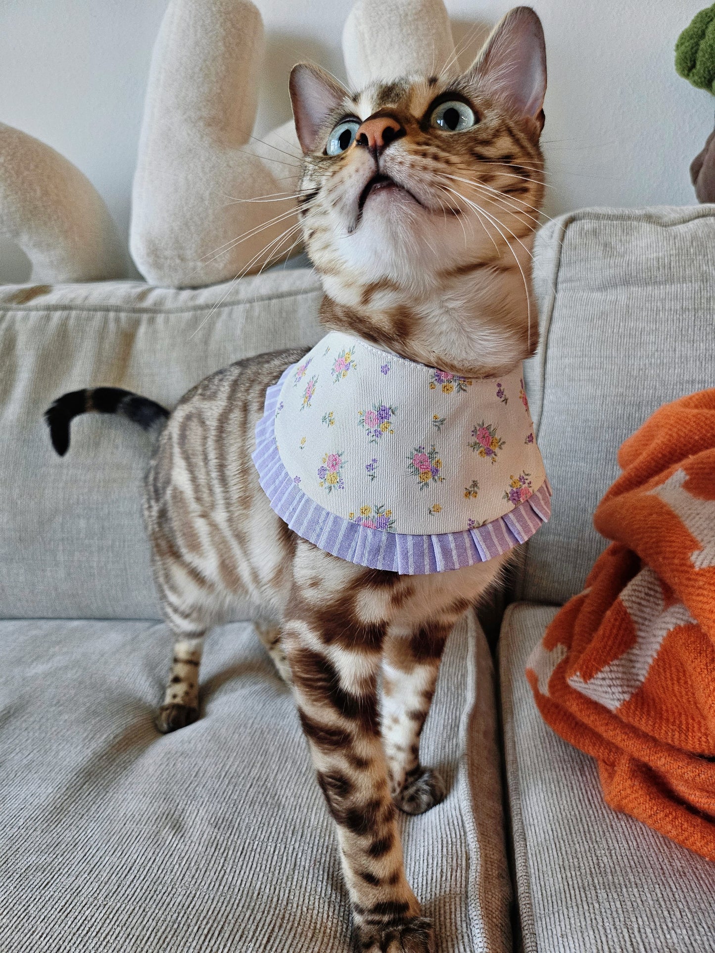 Lilac blossom Pet Bandana (reversible)