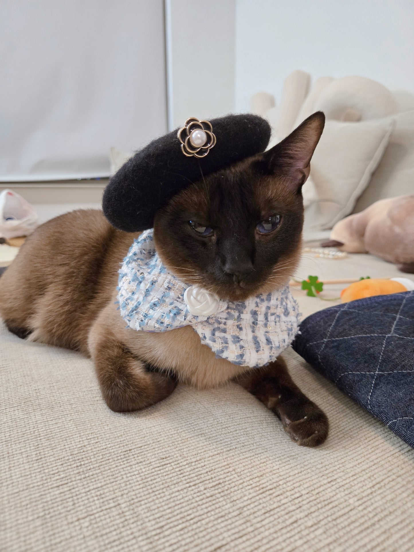 Chameowl pet beret