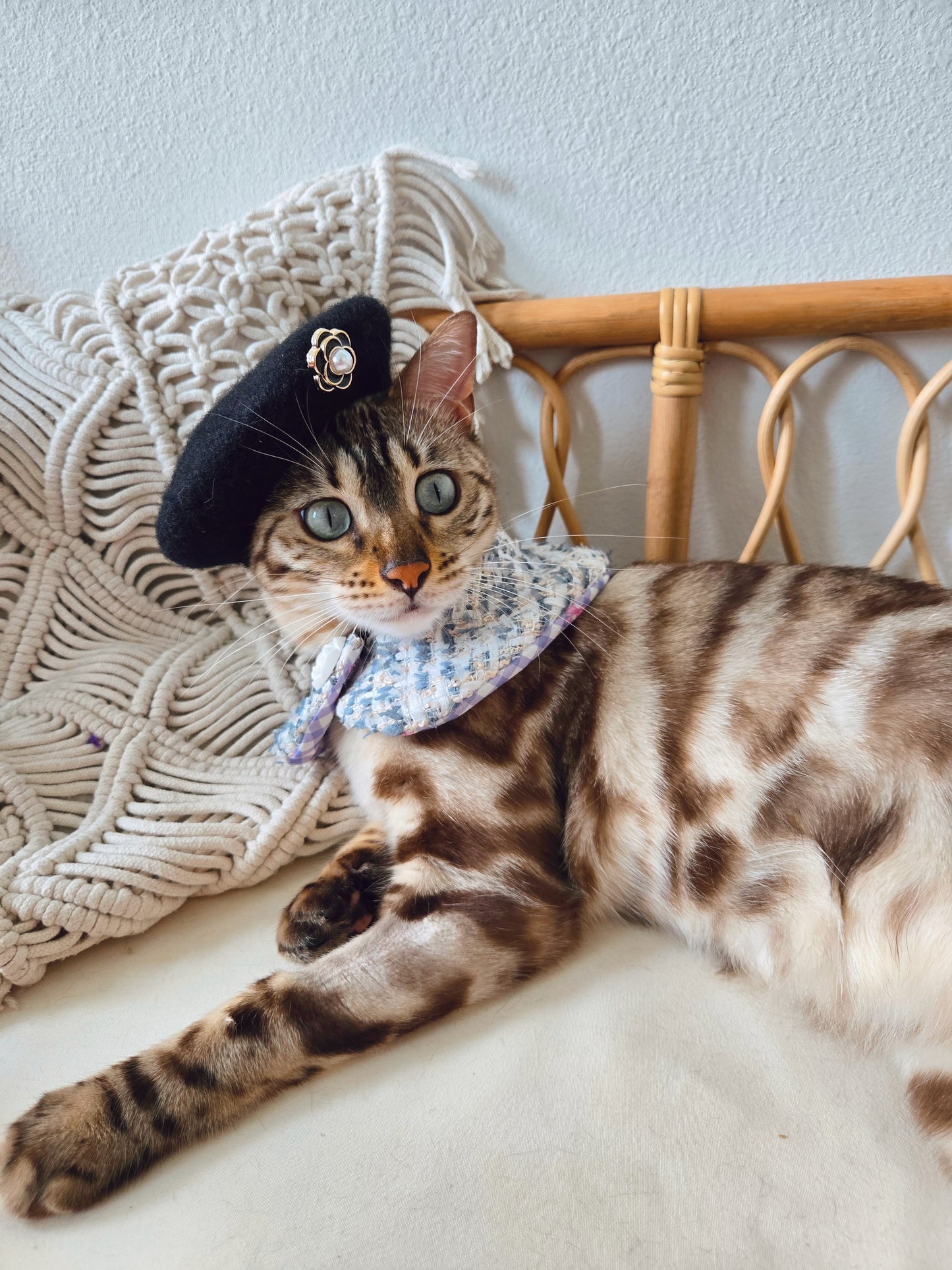 Chameowl Blue Pet Bandana (reversible 4-way wear)