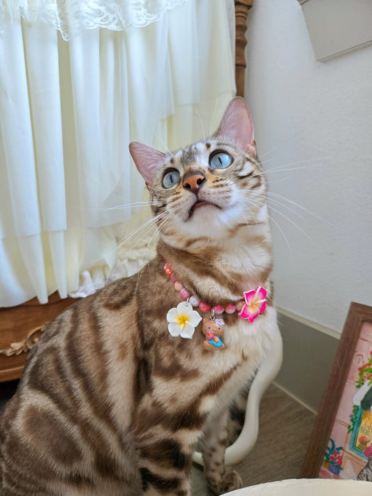 Suntanned Meowllo Kitty Pet Necklace