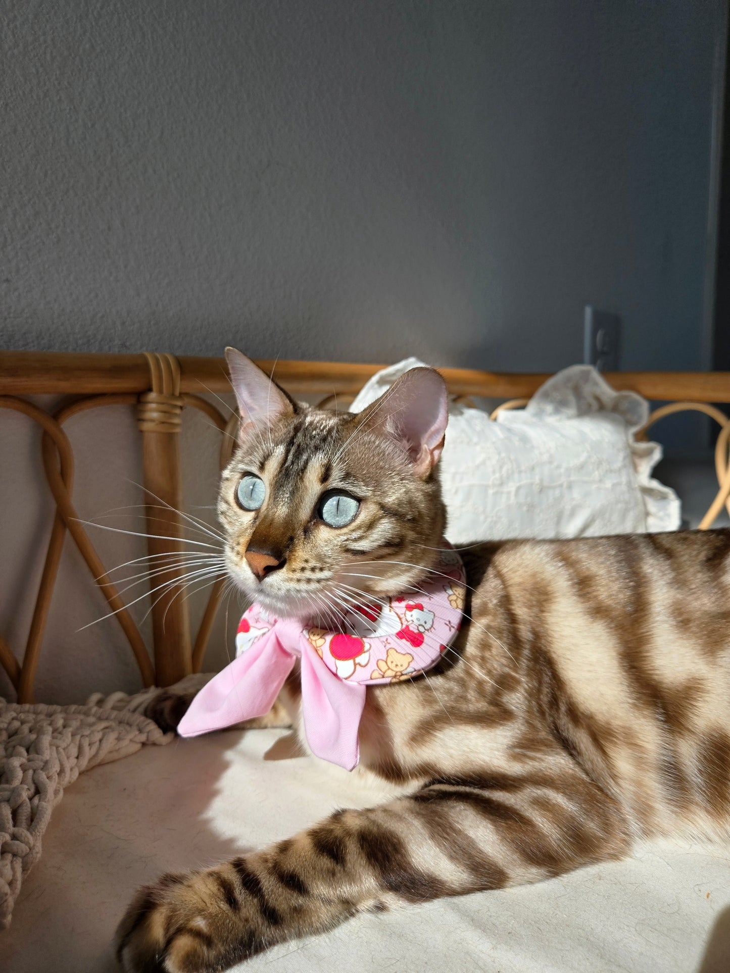 Sweetheart Academy girl Pet Bandana