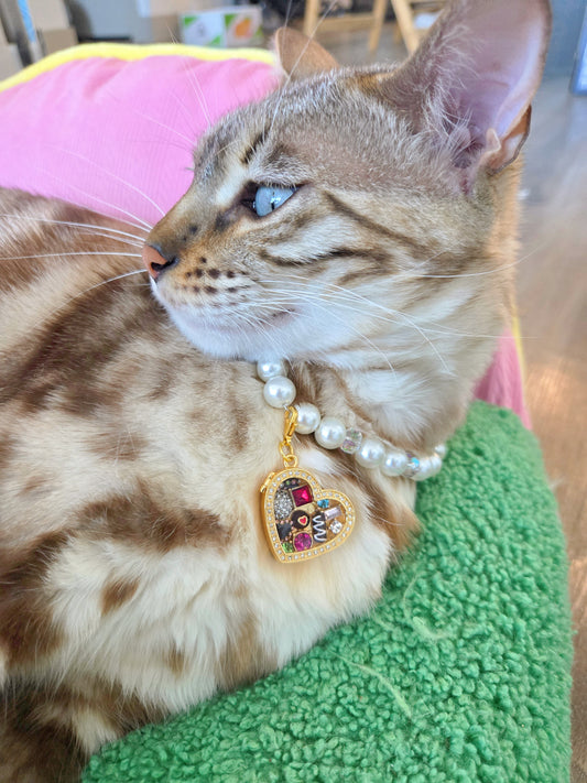 Chocolate Gems Locket Pet Necklace