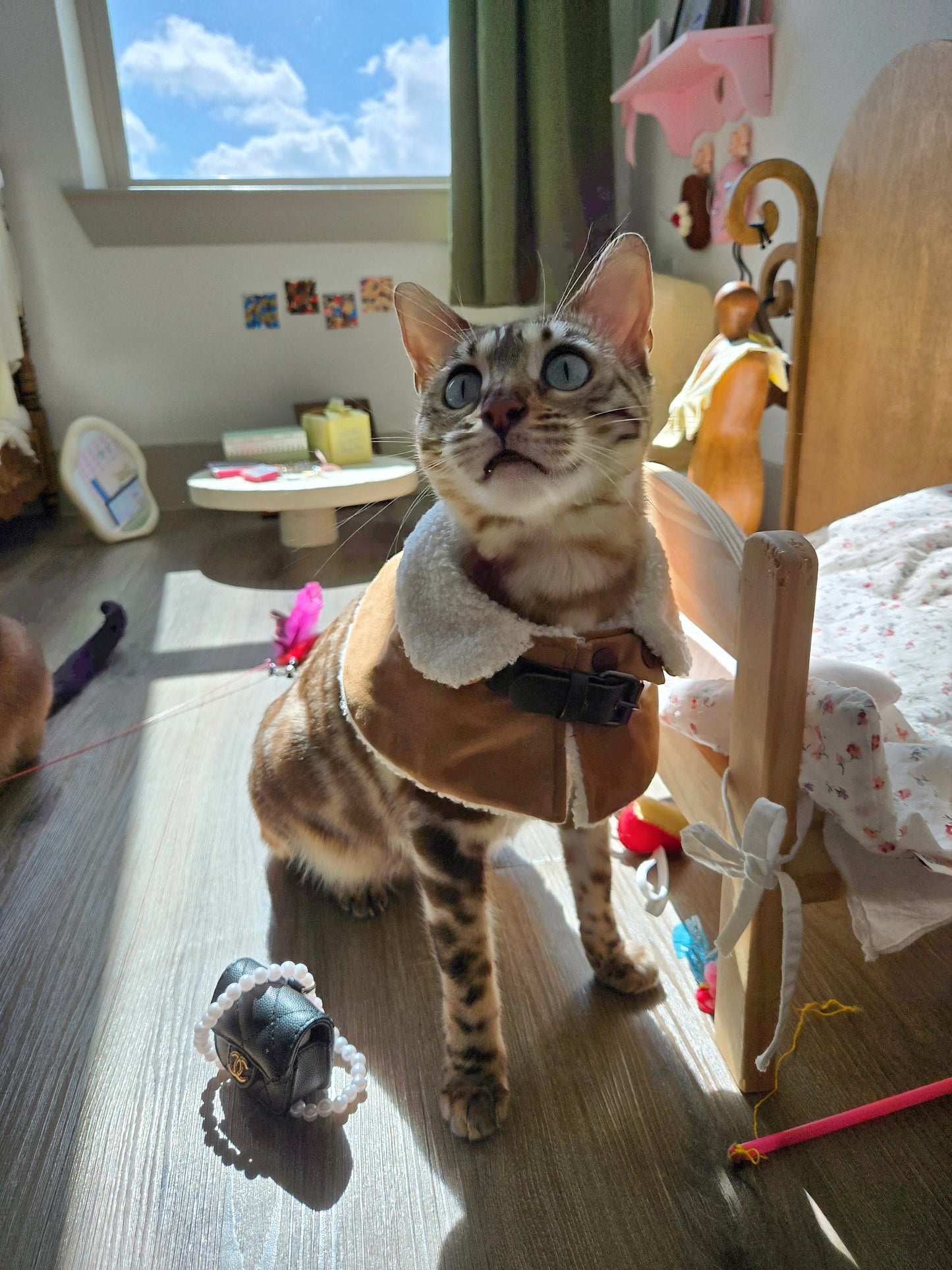 Chameowl bag