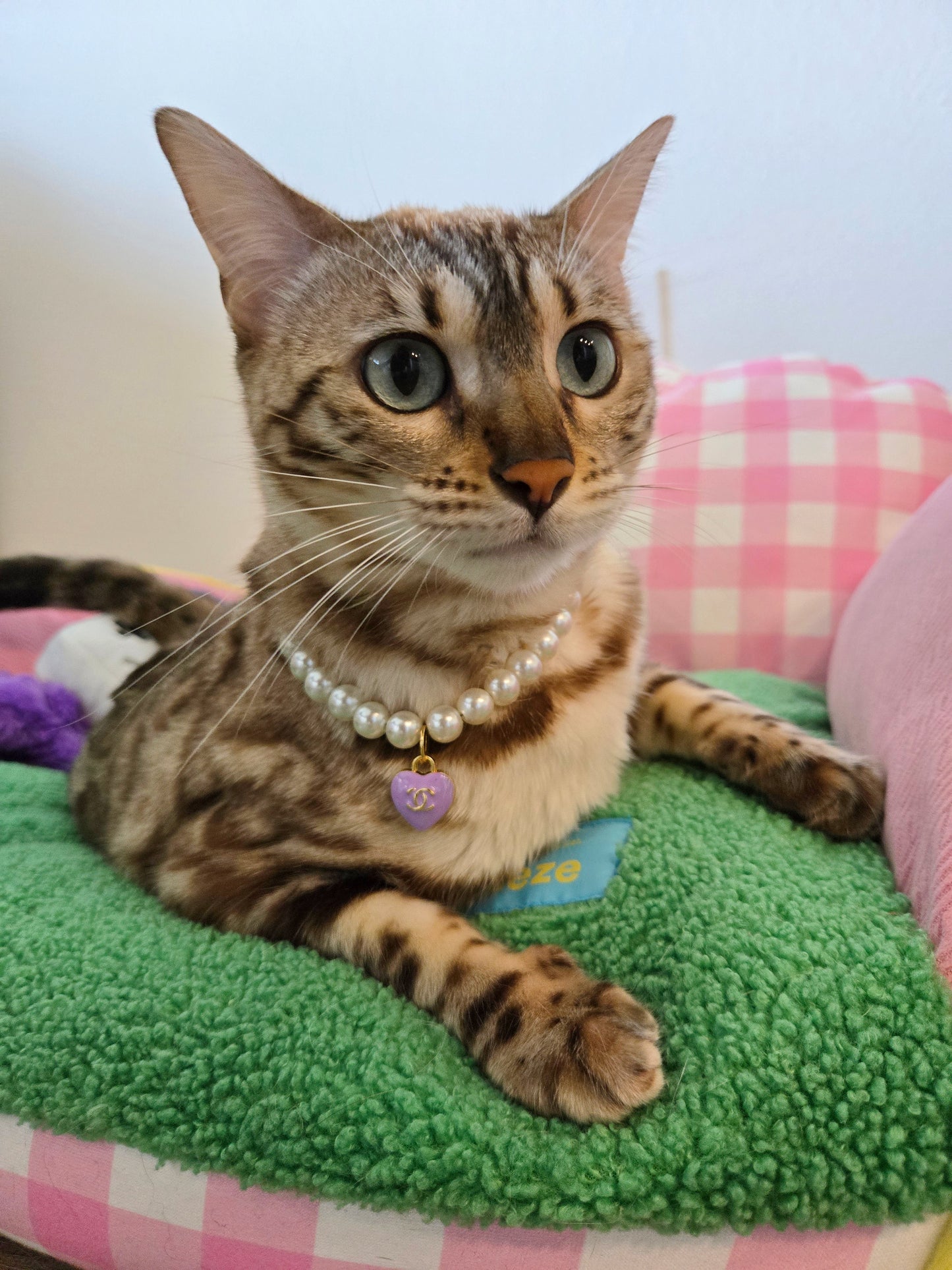 Chameowl Purple Pet Necklace