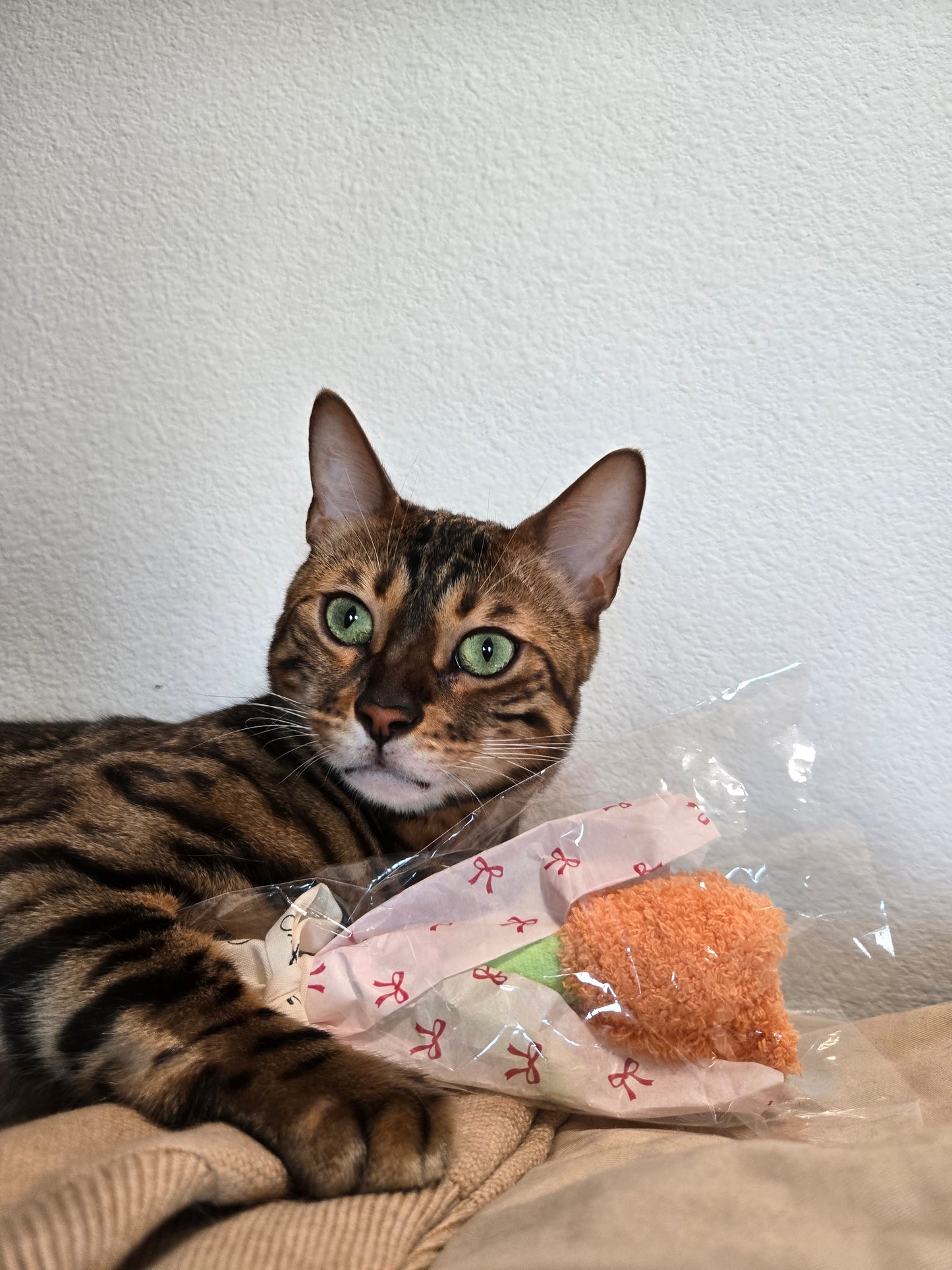Pawquet Flowers