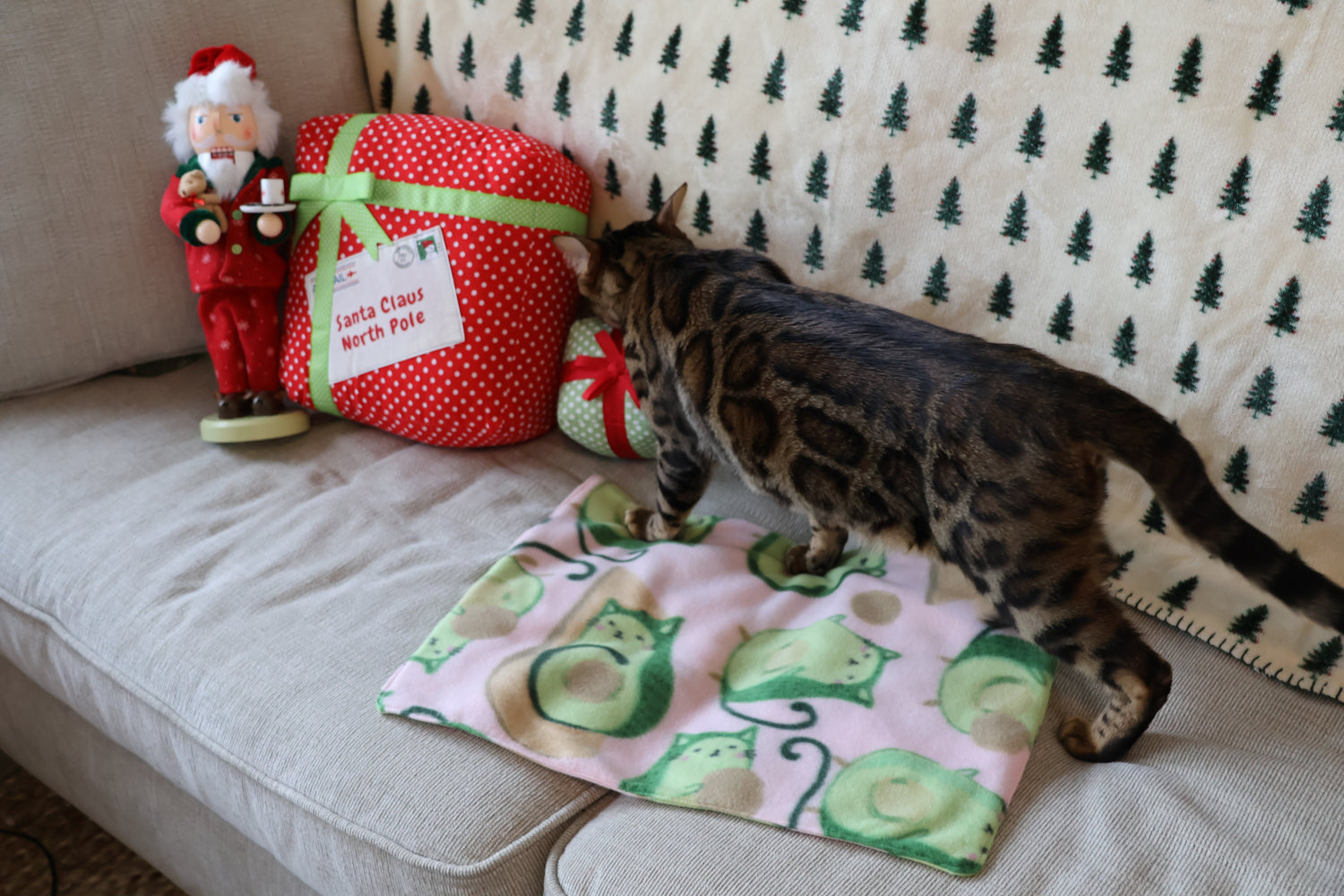Pet Blanket