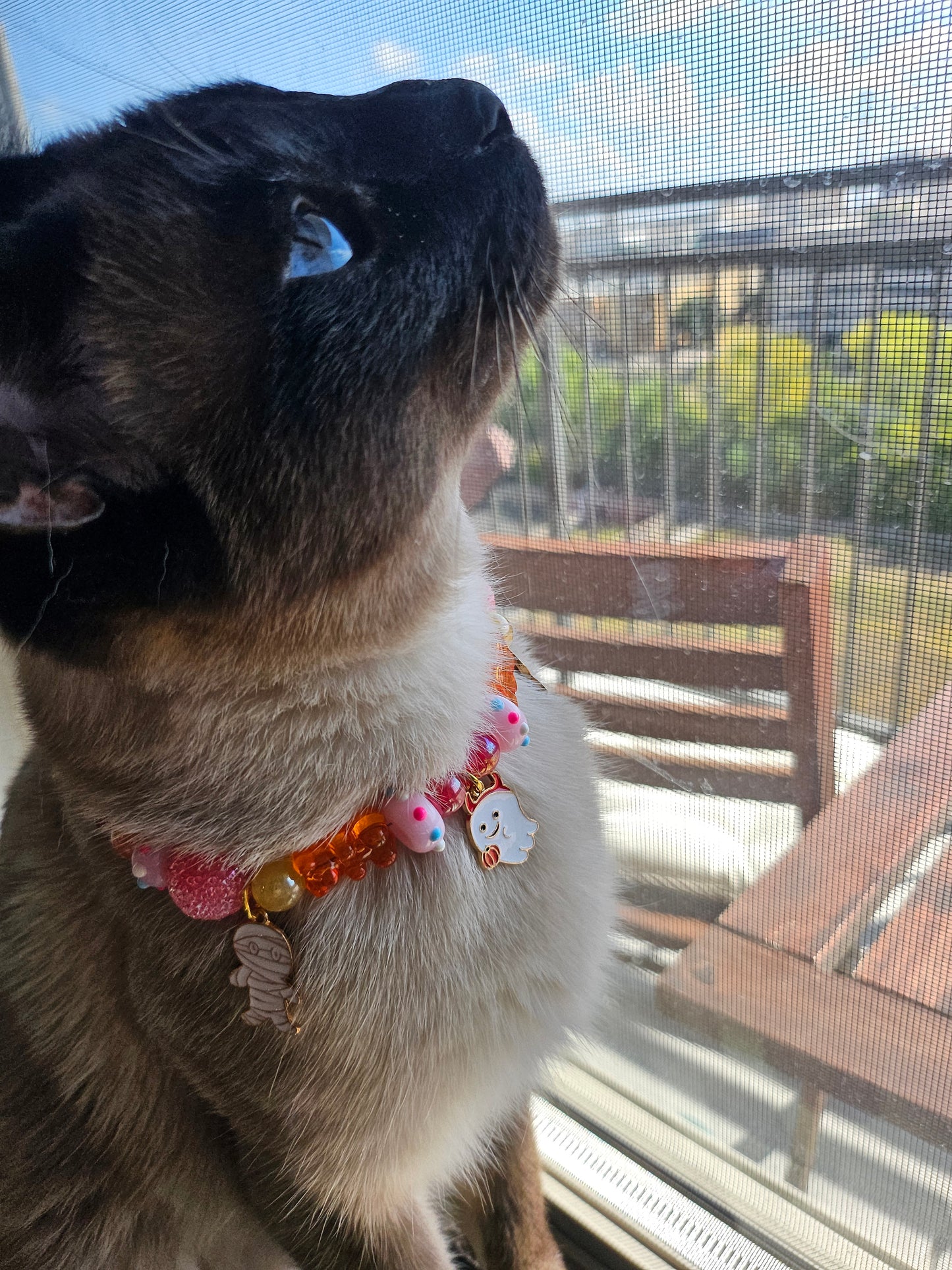 Trick or Treat Pet Necklace