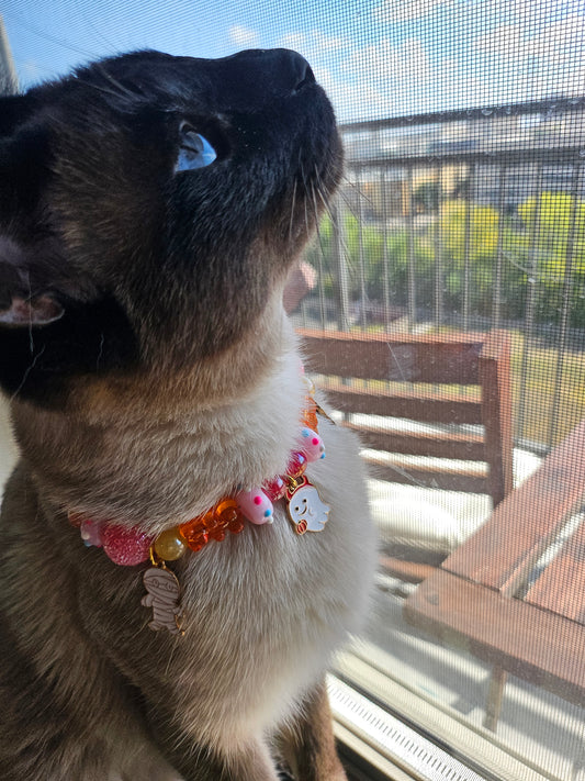 Trick or Treat Pet Necklace