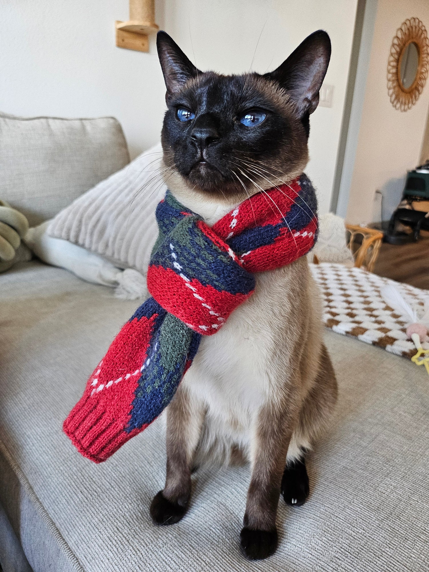 A Très Chic Christmas by Choopette