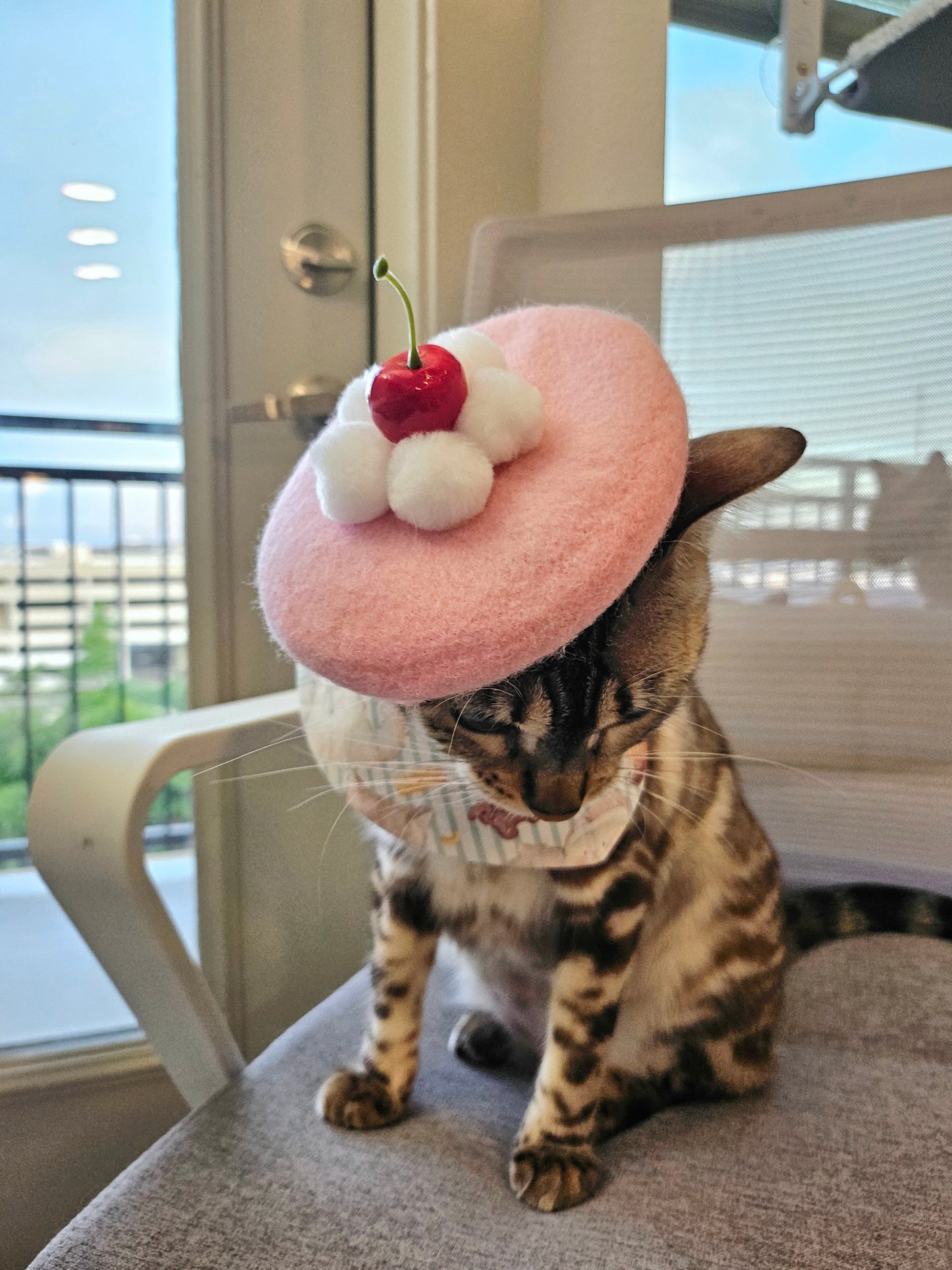 Chou Cherie pet beret