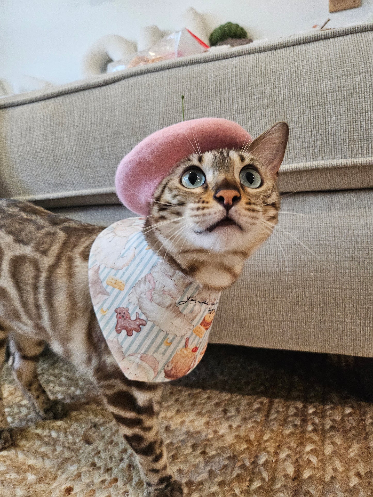 La Patisserie Pet Bandana