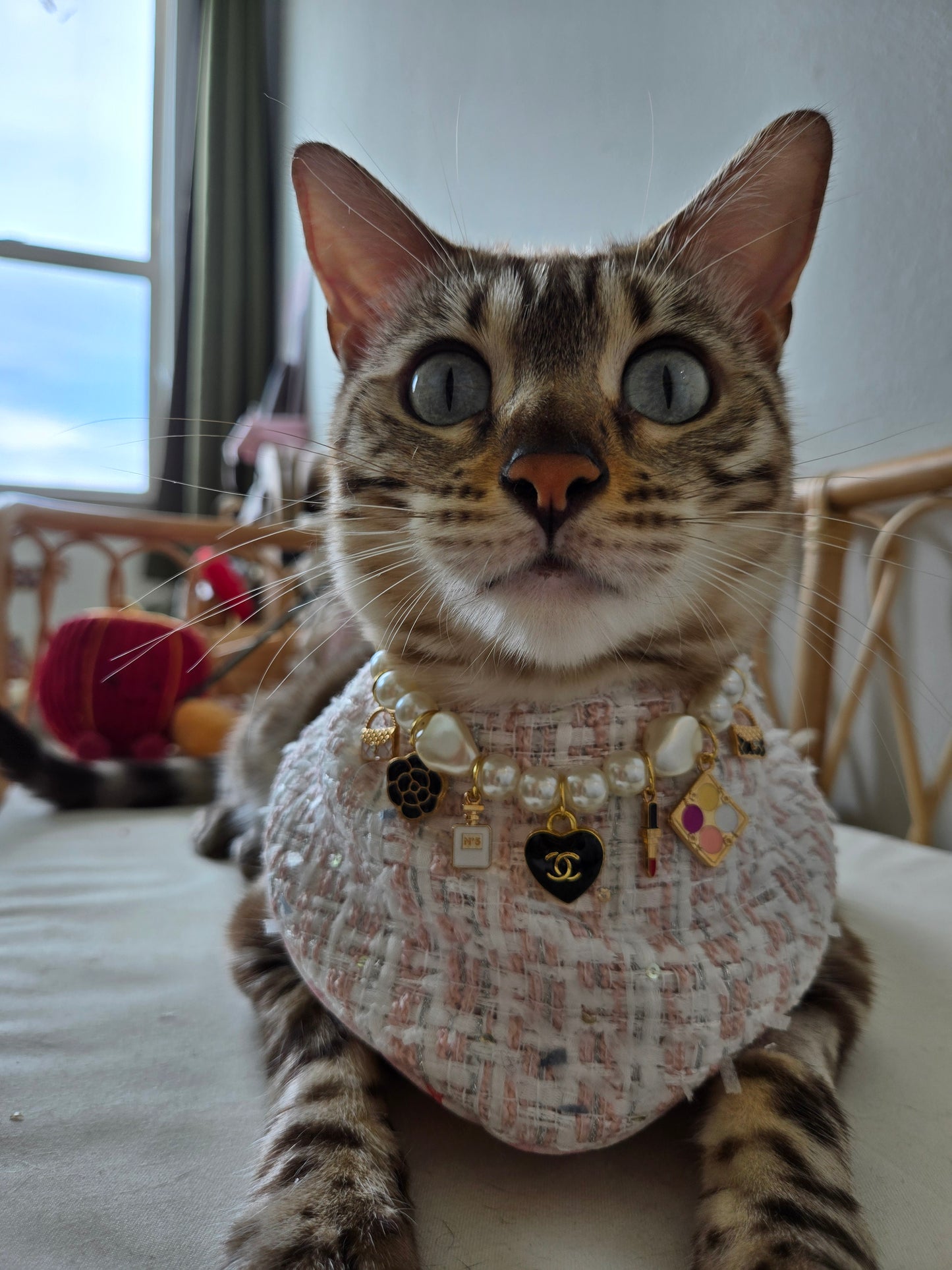 Chameowl Black Pet Necklace