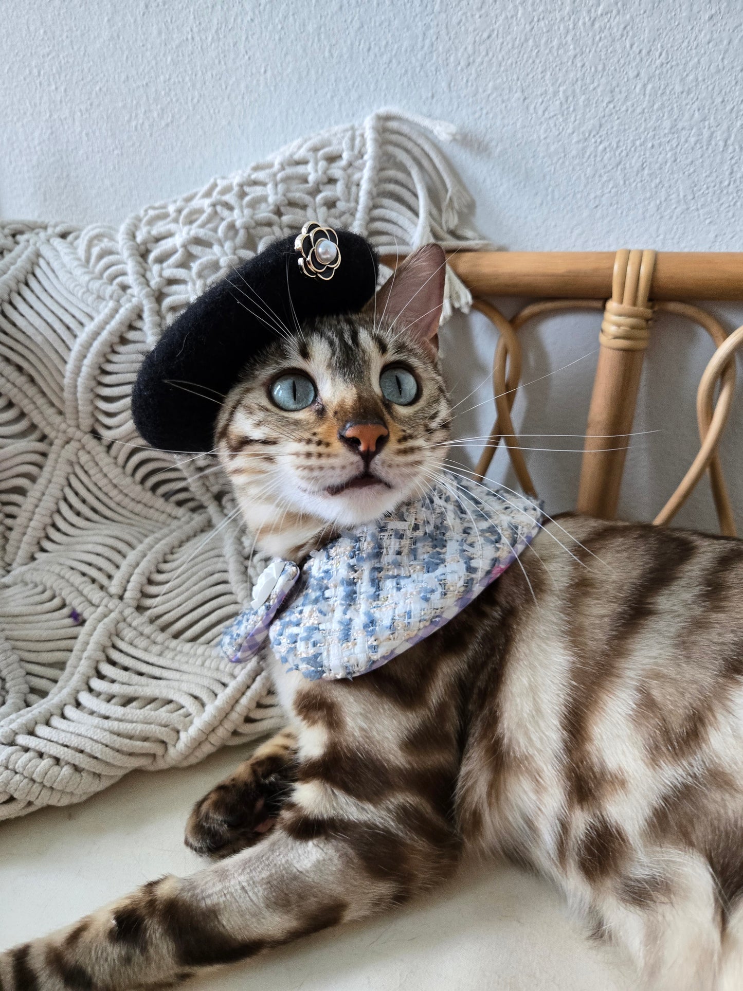 Chameowl Blue Pet Bandana (reversible 4-way wear)